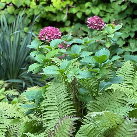 度假居 Perfekte Auszeit - Charmantes