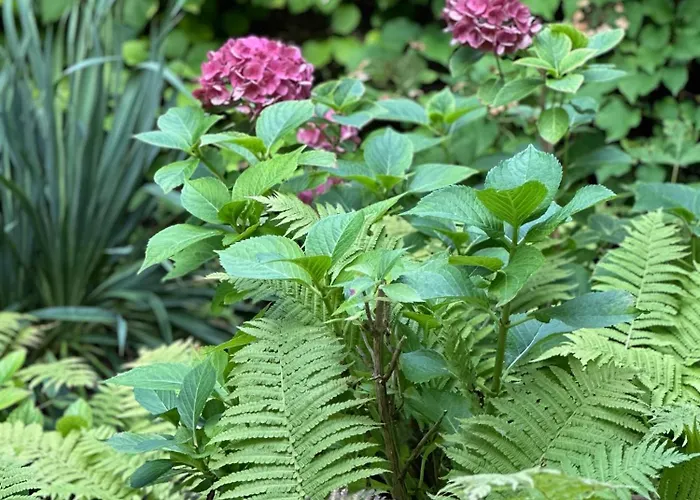 別荘 Perfekte Auszeit - Charmantes